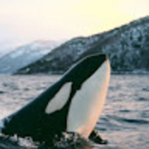 Meet your Posher, Alejandra